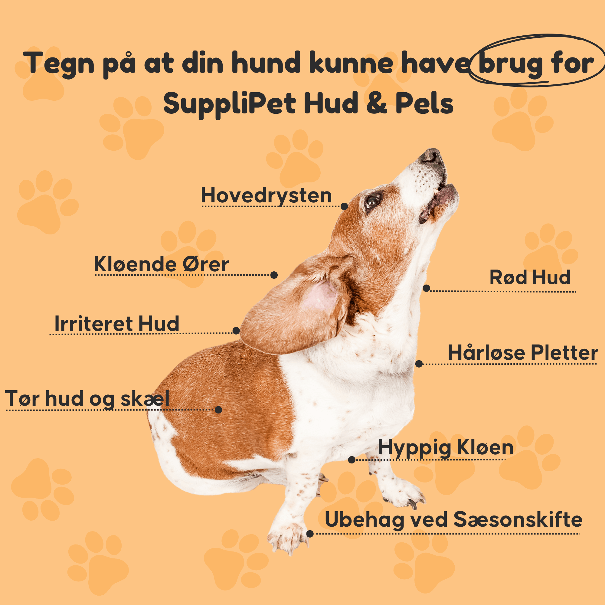 Hud og Pels - For en skinnende pels