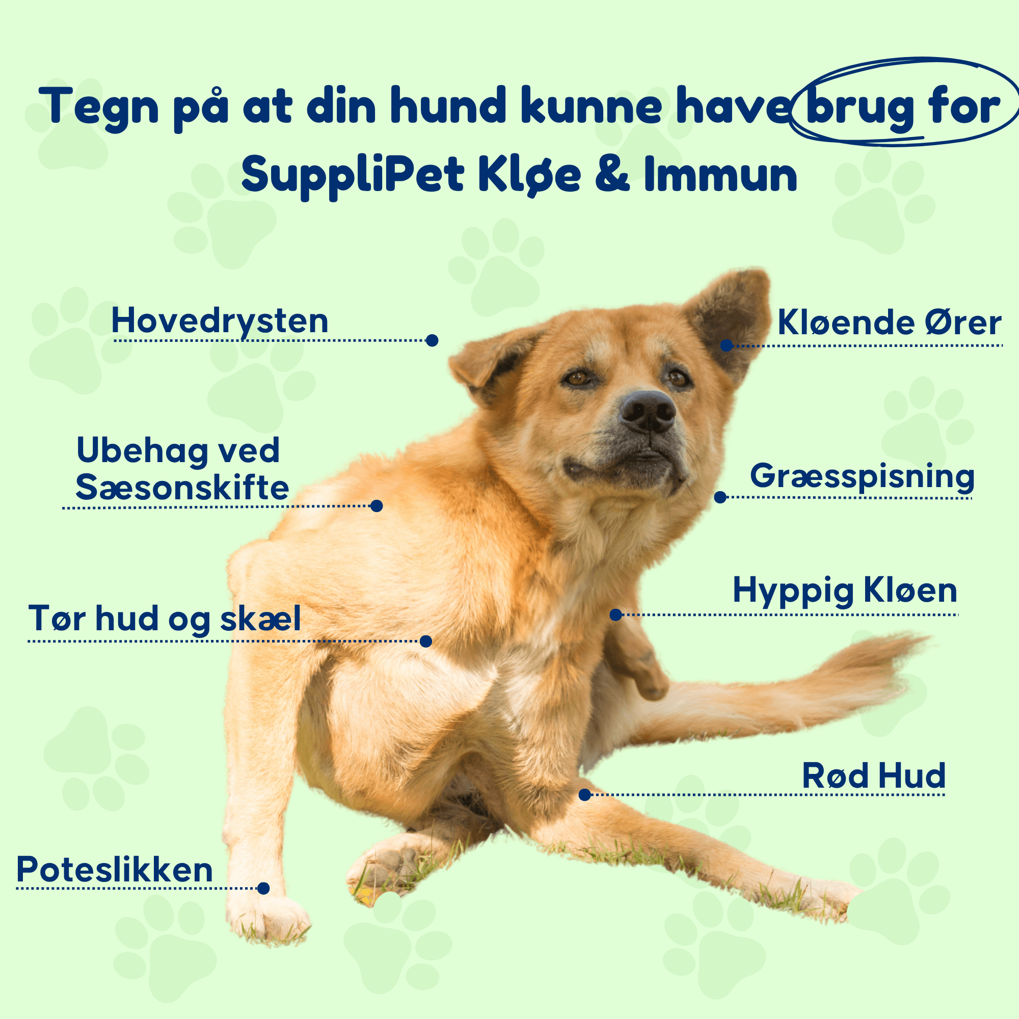Kløe & Immun - Til hunde med kløe og poteslikken