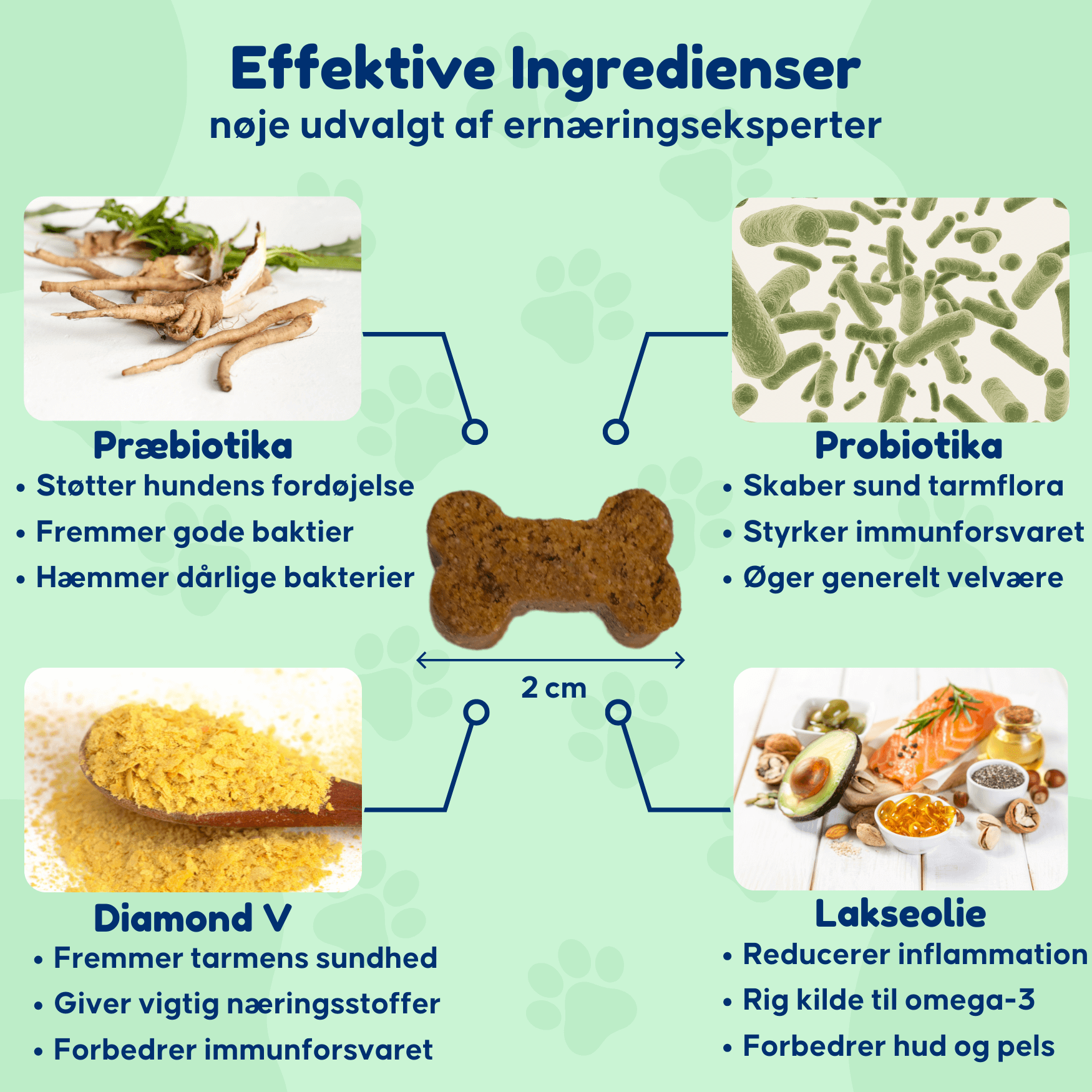 Probiotika - For en sund tarmflora