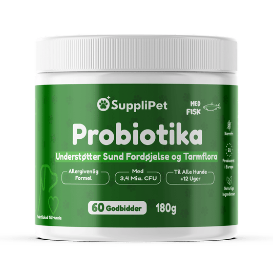 Probiotika - For en sund tarmflora