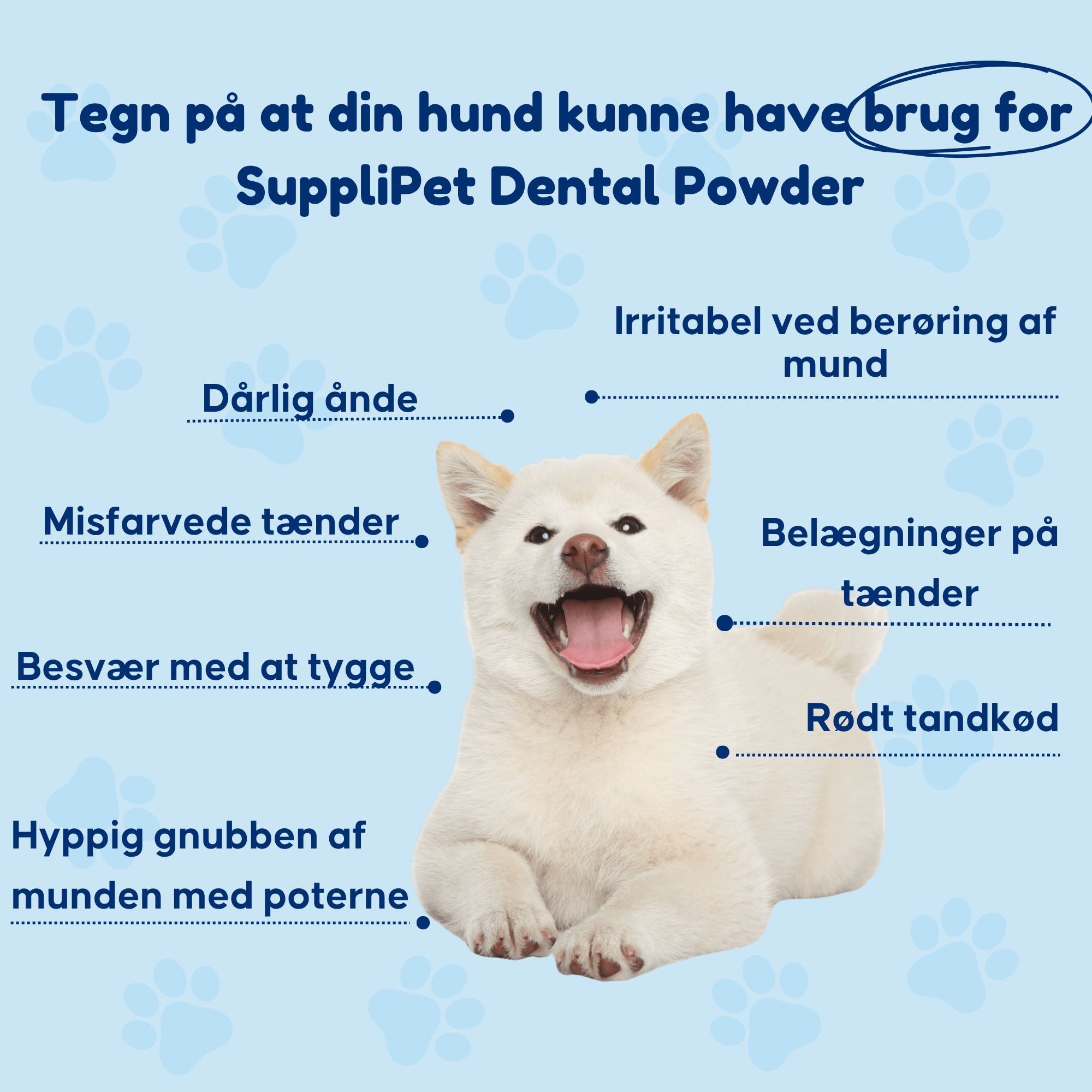Dental Powder - For rene tænder og sundt tandkød