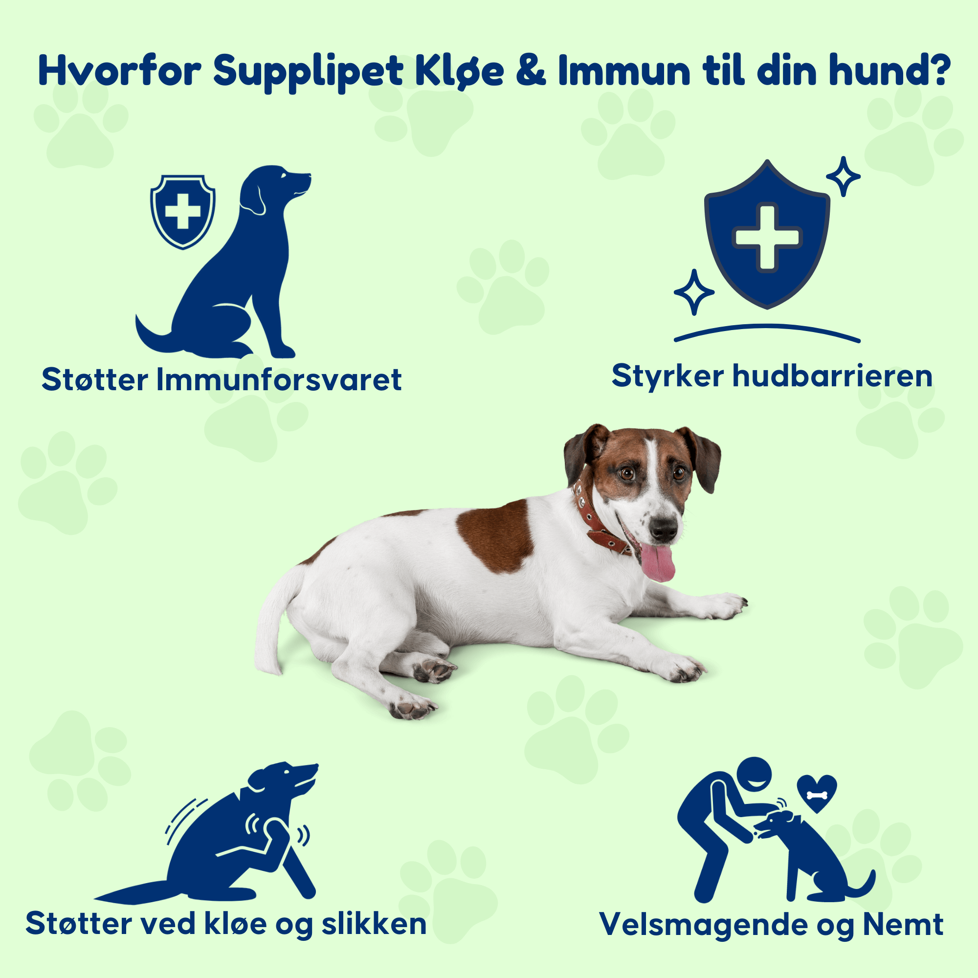 Kløe & Immun - Til hunde med kløe og poteslikken