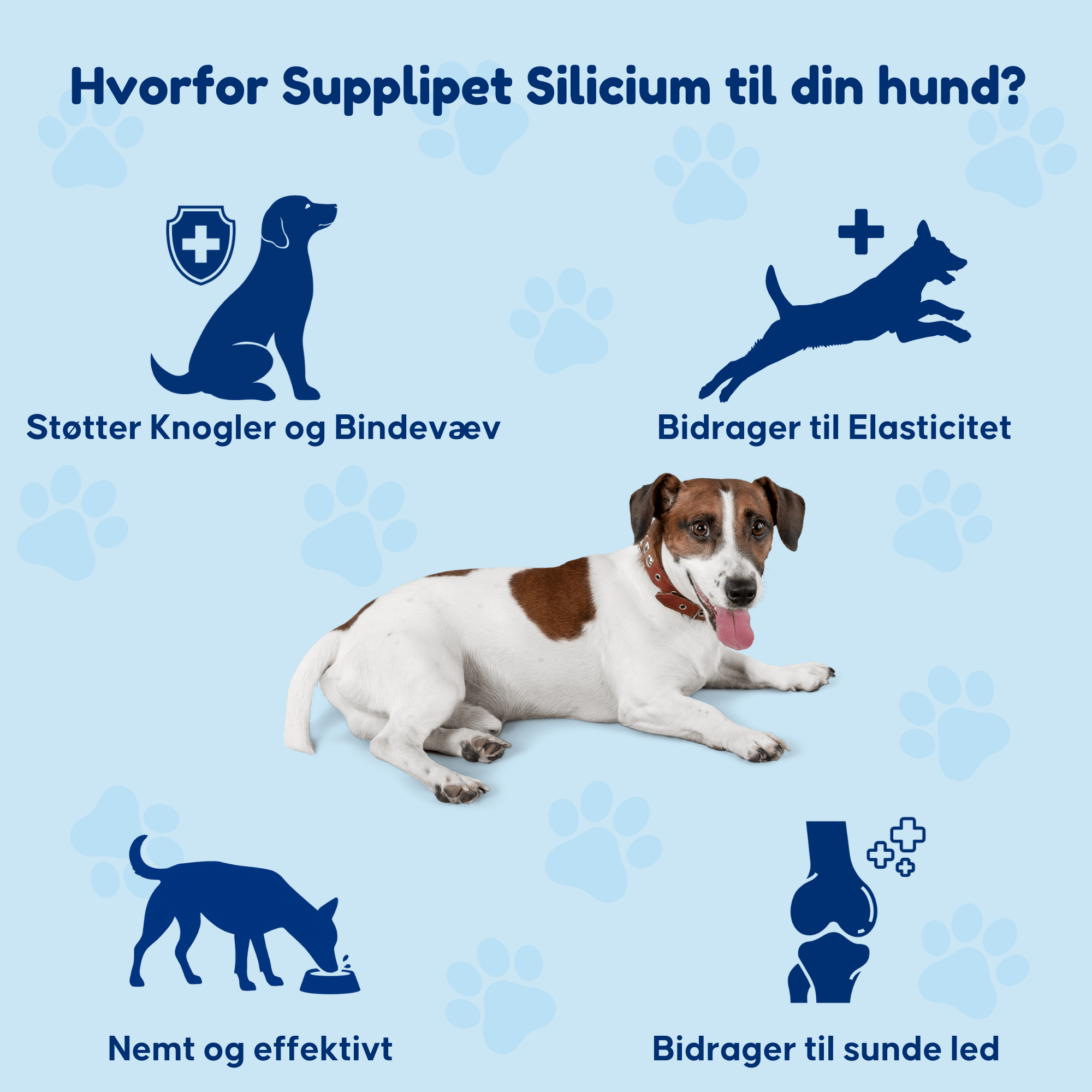 Silicium - Til støtte af bindevæv og led
