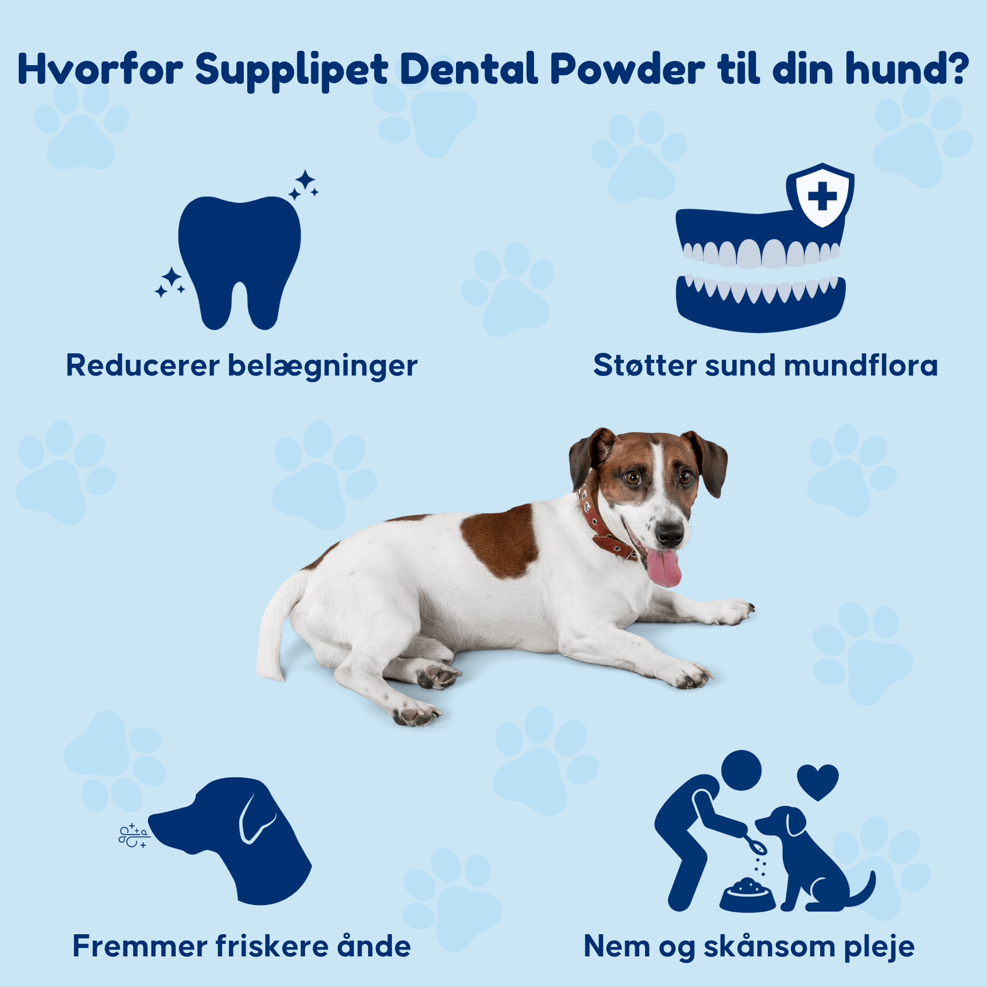 Dental Powder - For rene tænder og sundt tandkød