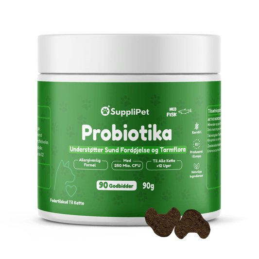 Probiotika Kat - For en sund tarmflora