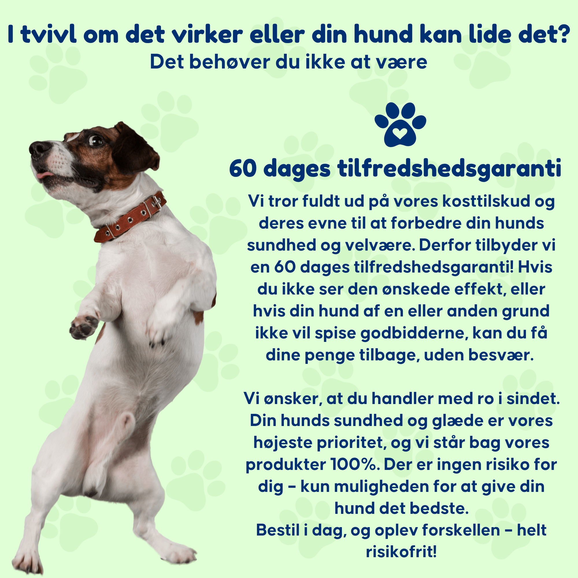 Kløe & Immun - Til hunde med kløe og poteslikken