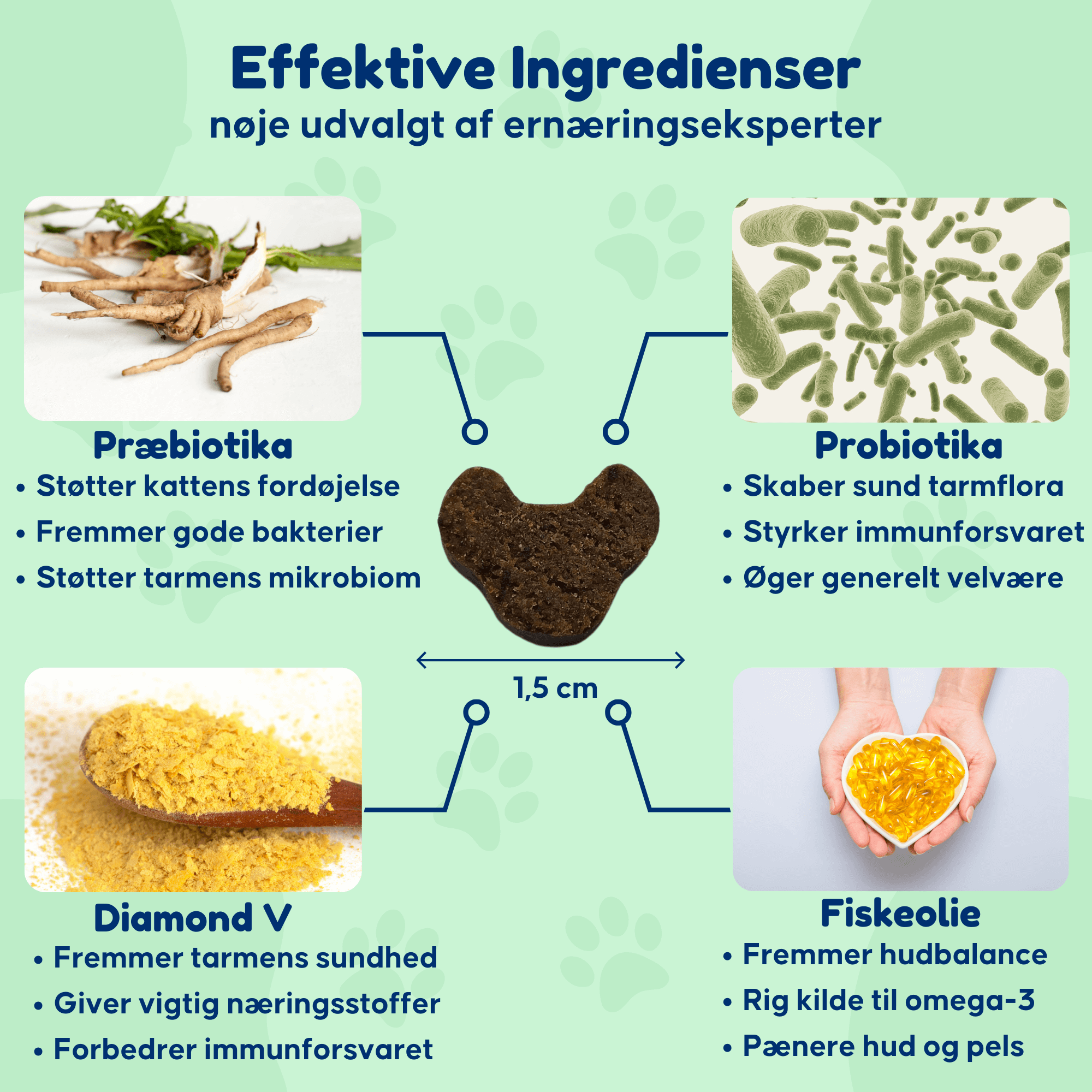 Probiotika Kat - For en sund tarmflora