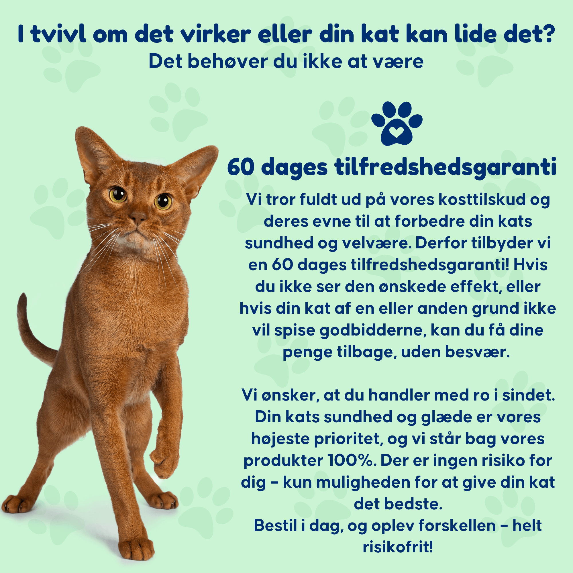 Probiotika Kat - For en sund tarmflora