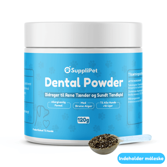 Dental Powder - For rene tænder og sundt tandkød