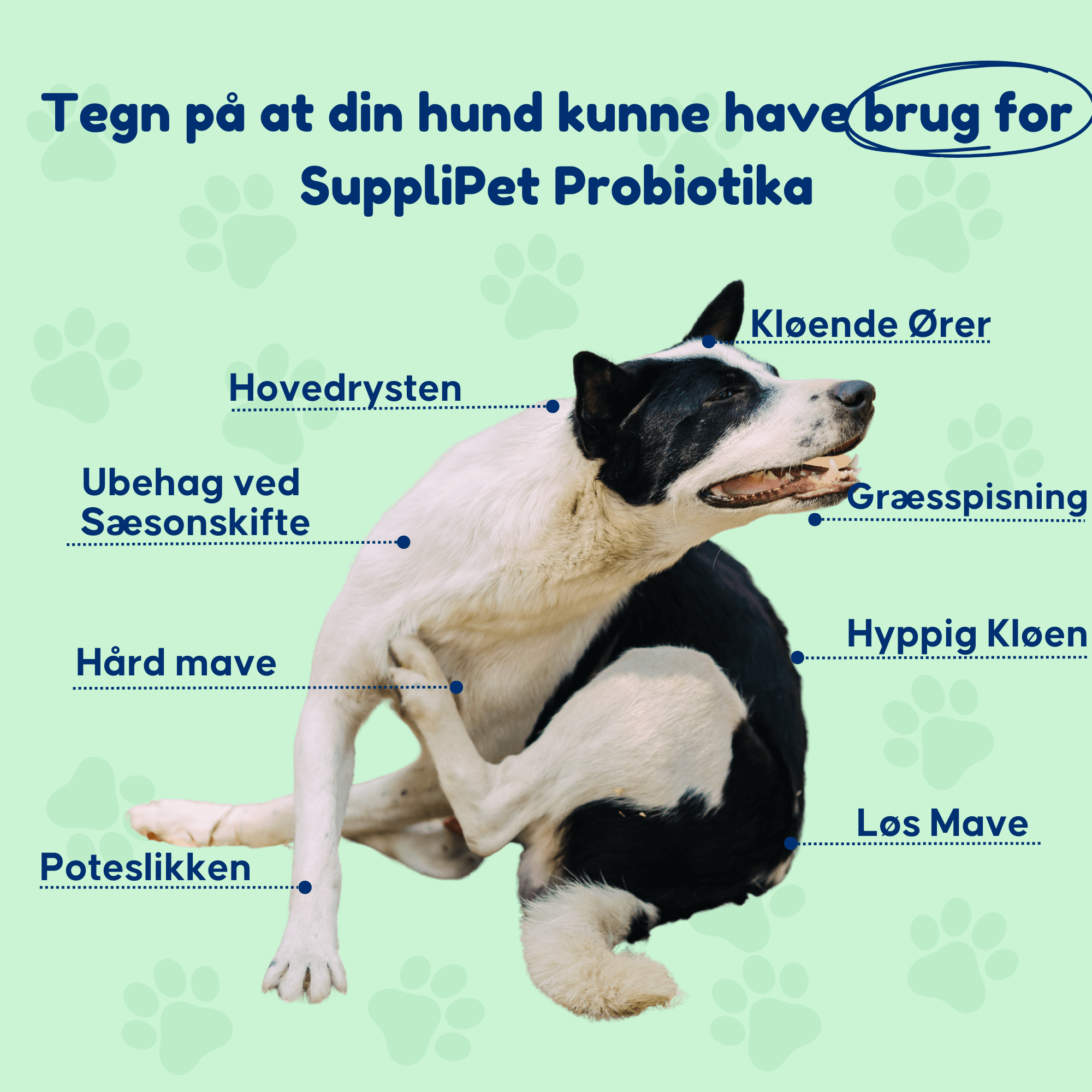 Probiotika - For en sund tarmflora